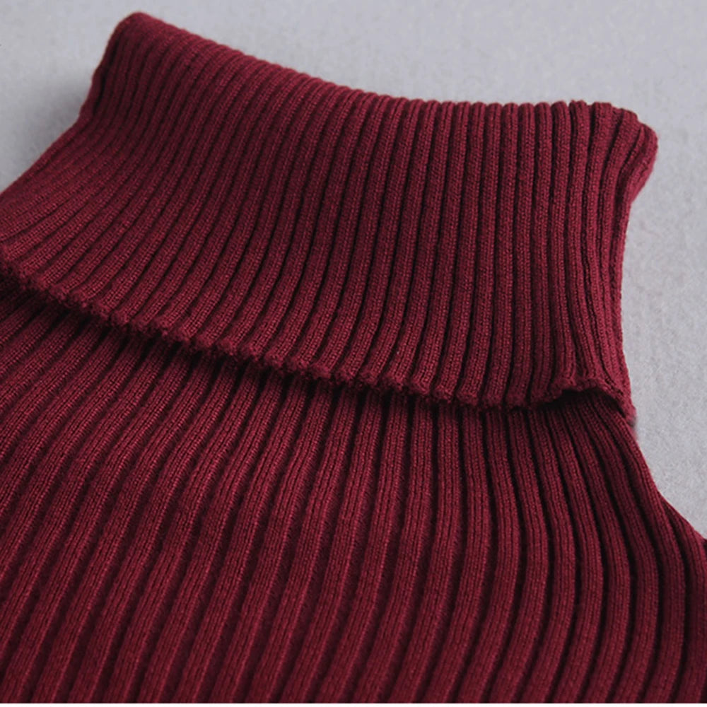 Knit Style Turtleneck Winter Maxi Dresss